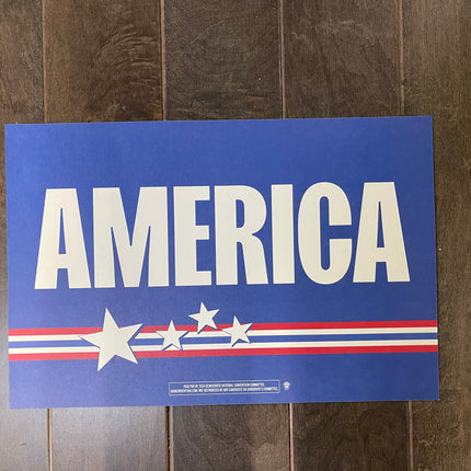 Evanston - "AMERICA" 2024 DNC Sign