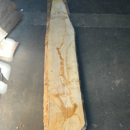 Live Edge Lumber #17