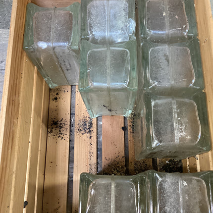 Midcentury wall window double Glass Block