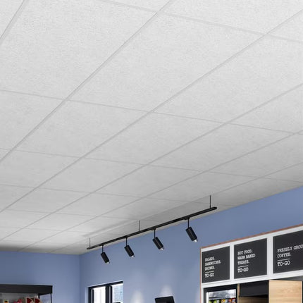 USG Ceiling Acoustical Panels