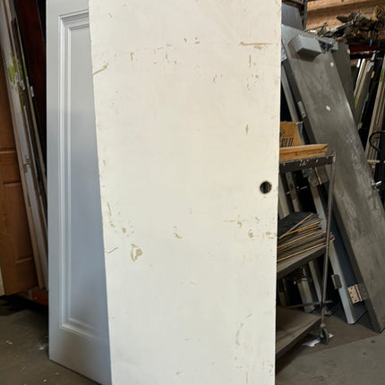 79.5x34 White Slab Door