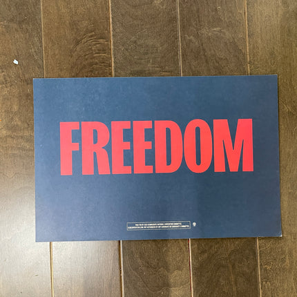 Evanston - "FREEDOM" 2024 DNC Sign 2 (Blue and Red/Blue and White)