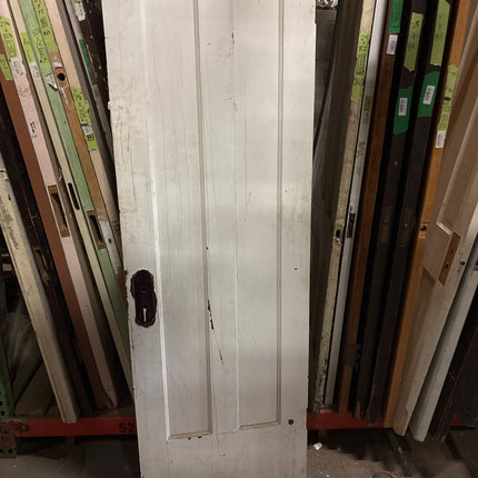 79 3/4in x 26in 2 Panel White/Brown Door