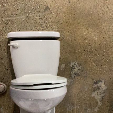 Wall toilet