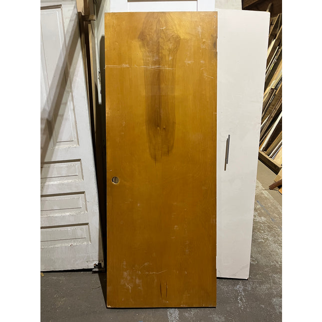 30 x 79 1/2 in. Stained Hollowcore Door