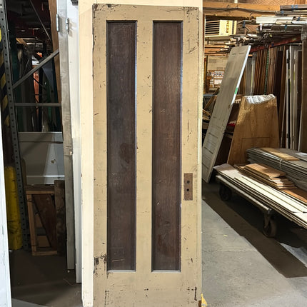 24x80 Painted Wooden 2 Panel Door