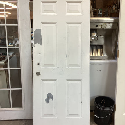 32x79 Exterior Door