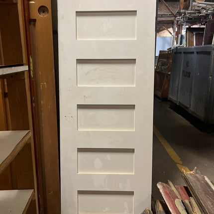 24 x 66 in. Painted Solid Wood Door