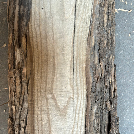 Live Edge Lumber #13