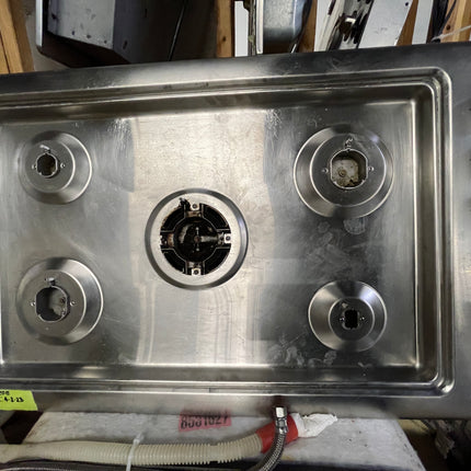 36" Fisher & Paykel Cooktop