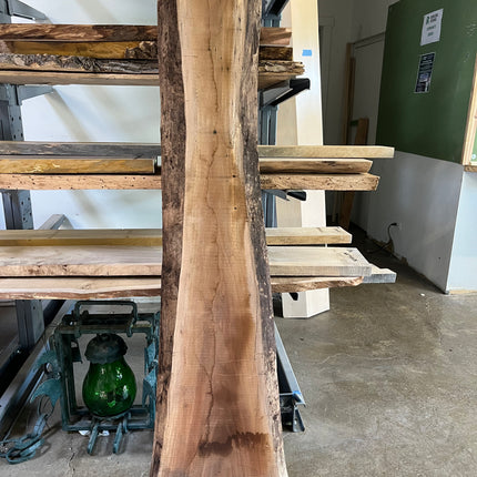 69” Live Edge Black Walnut