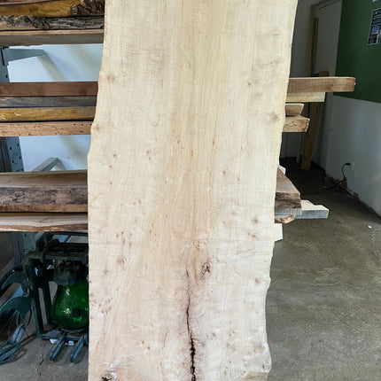 61.5” Live Edge Maple