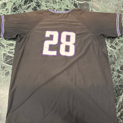 Northwestern Baseball Jersey - Number 28