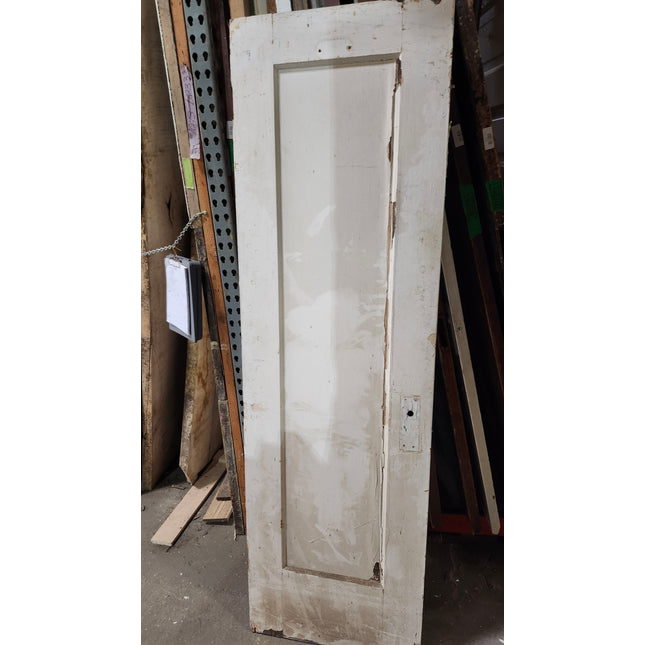 79 1/8" x 24" 1 Panel Painted Door
