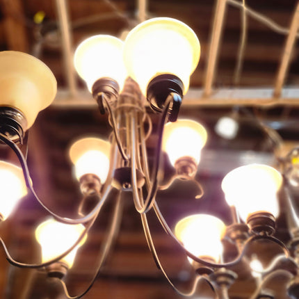 "TenaciouslyTentacled" Chandelier