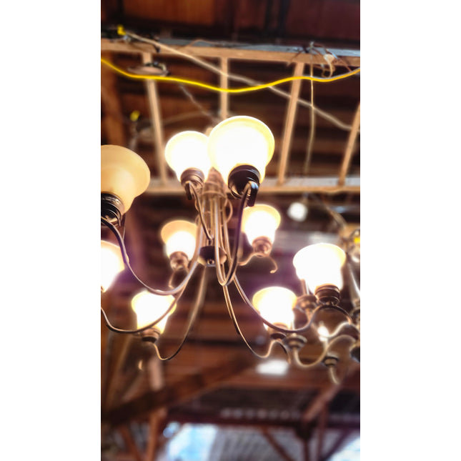"TenaciouslyTentacled" Chandelier